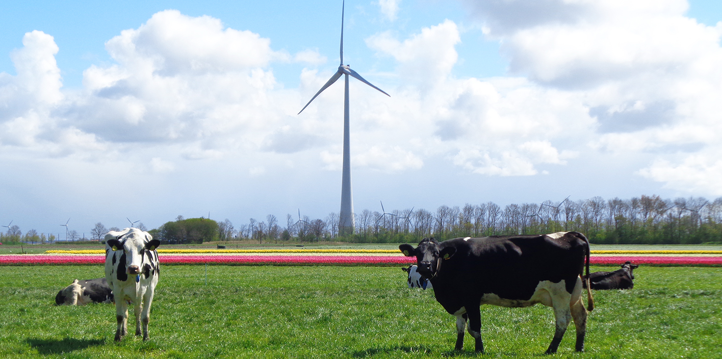 Flevoland