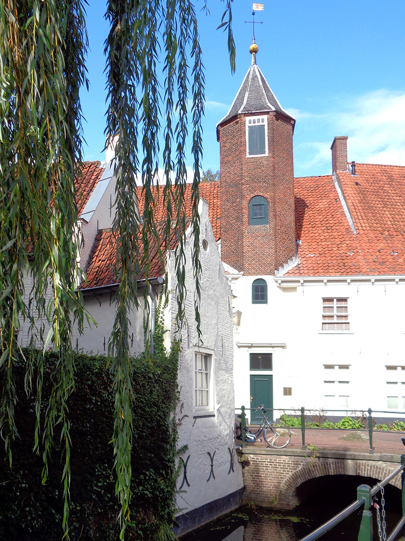 DSC00485