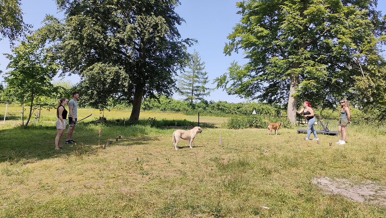 IMG20230604144845