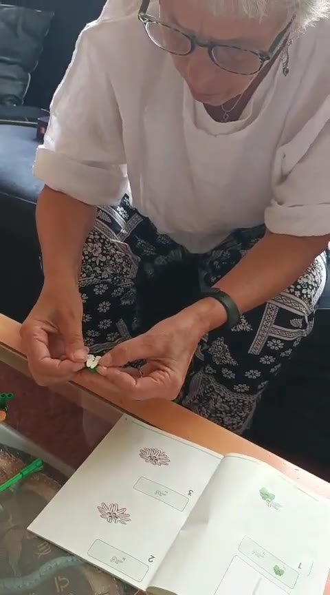 WhatsApp Video 2026-07-23 at 17.12.10 - Trim
