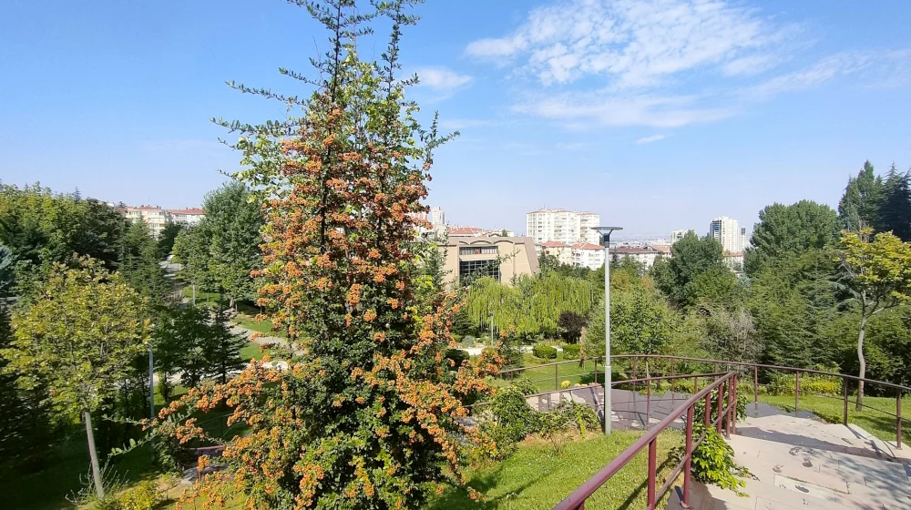 IMG20240823102653